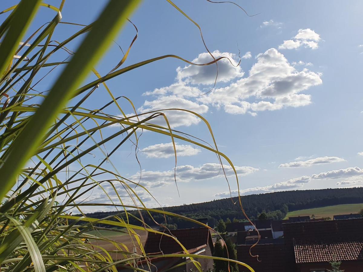 Ferienwohnung Am Sonnigen Haimberg フルダ エクステリア 写真