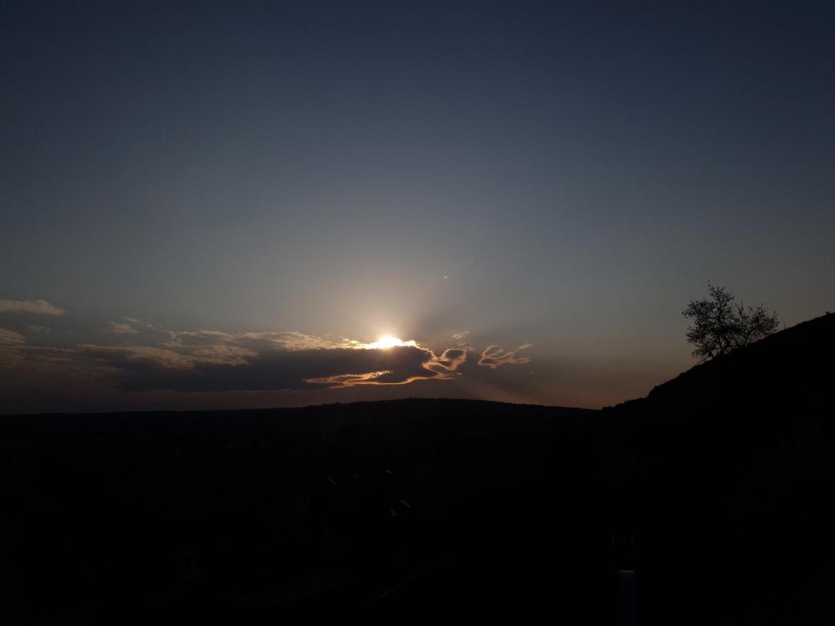 Ferienwohnung Am Sonnigen Haimberg フルダ エクステリア 写真