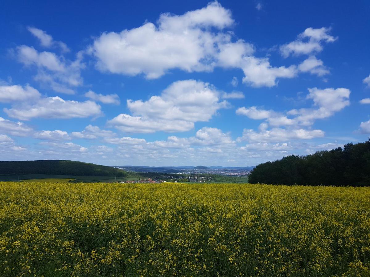 Ferienwohnung Am Sonnigen Haimberg フルダ エクステリア 写真