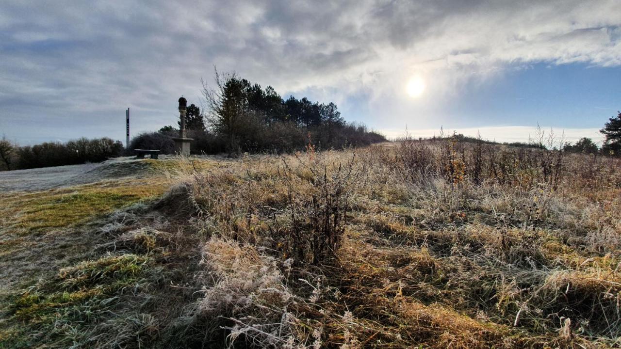 Ferienwohnung Am Sonnigen Haimberg フルダ エクステリア 写真